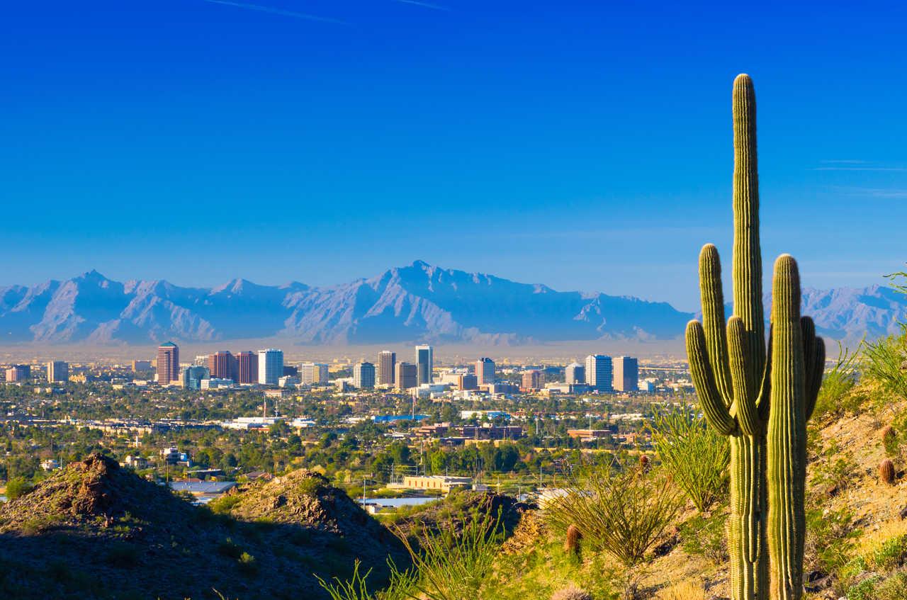 Cambria Hotel Phoenix- North Scottsdale Esterno foto