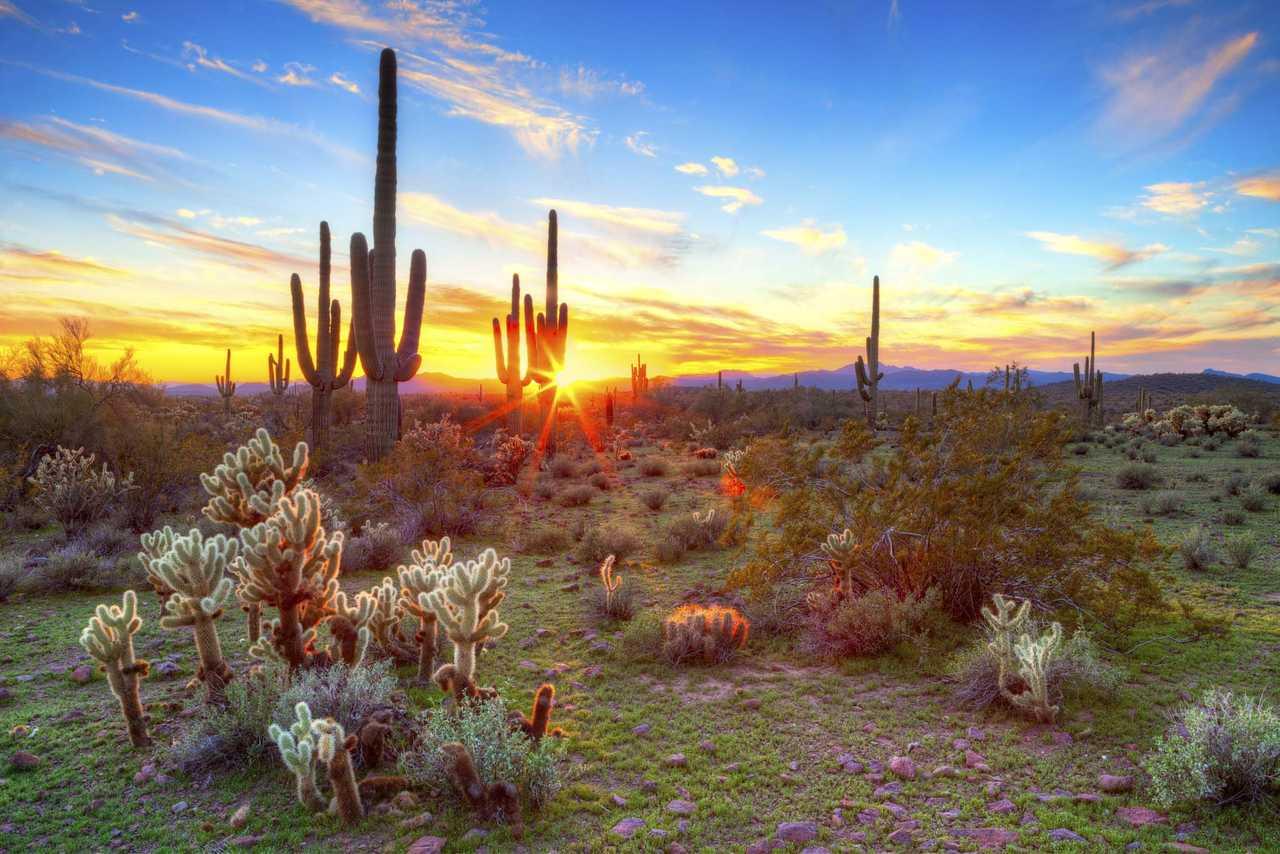 Cambria Hotel Phoenix- North Scottsdale Esterno foto