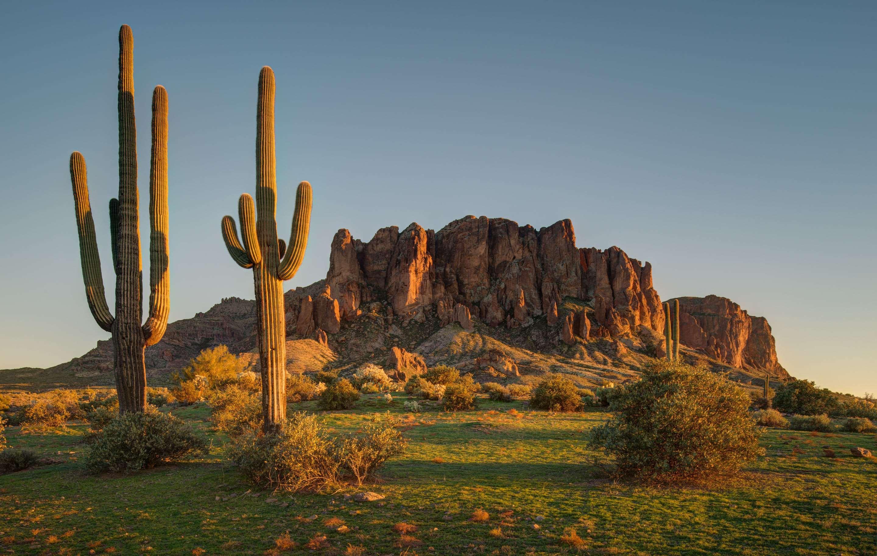 Cambria Hotel Phoenix- North Scottsdale Esterno foto